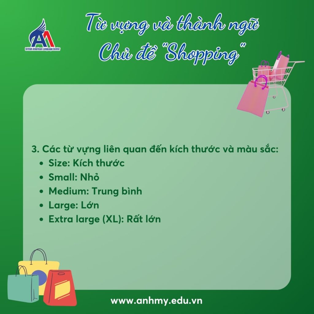 Hình 4: Từ vựng chủ đề shopping liên quan đến kích thước và màu sắc